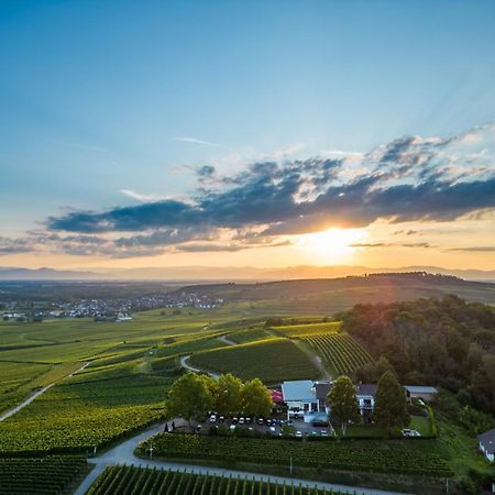 Koepfers Steinbuck Otel Bischoffingen Dış mekan fotoğraf
