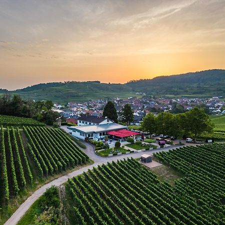 Koepfers Steinbuck Otel Bischoffingen Dış mekan fotoğraf