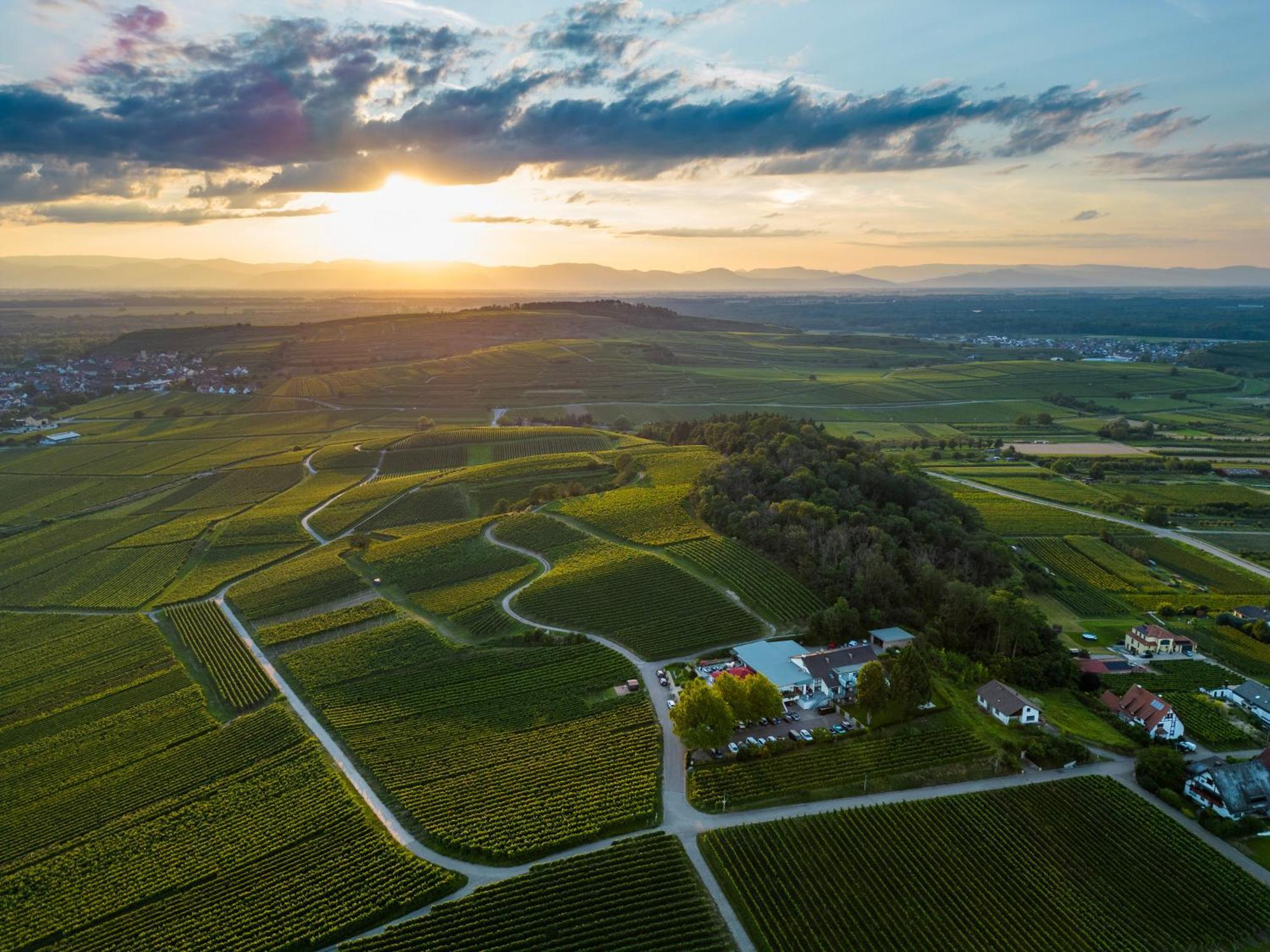Koepfers Steinbuck Otel Bischoffingen Dış mekan fotoğraf