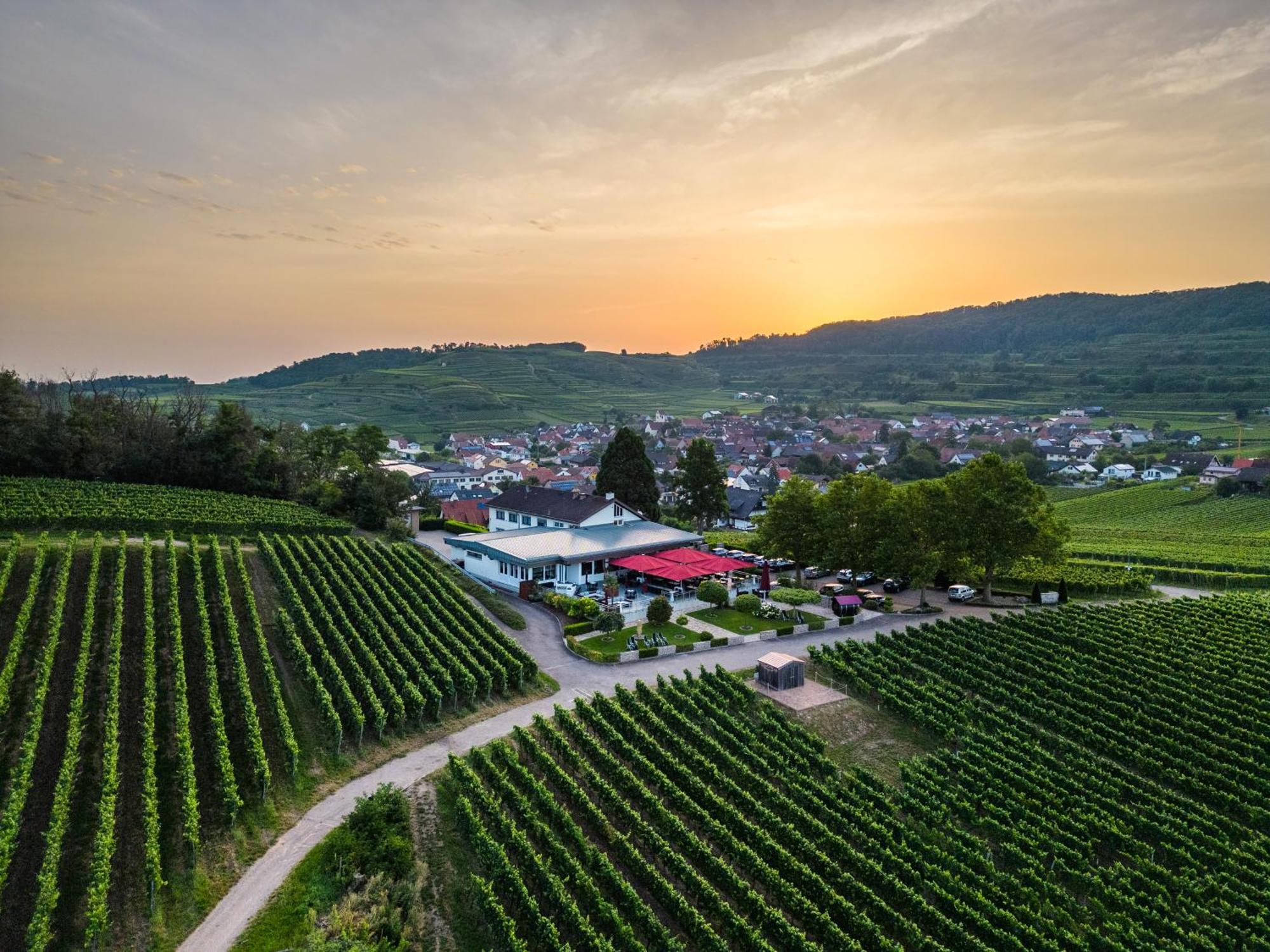 Koepfers Steinbuck Otel Bischoffingen Dış mekan fotoğraf