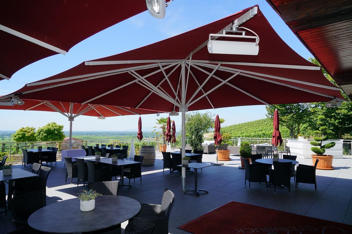 Koepfers Steinbuck Otel Bischoffingen Dış mekan fotoğraf